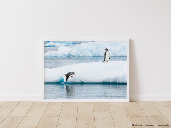 Le plongeon du doute – Image 3