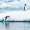 Le plongeon du doute