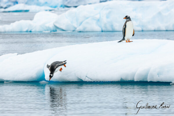 Le plongeon du doute